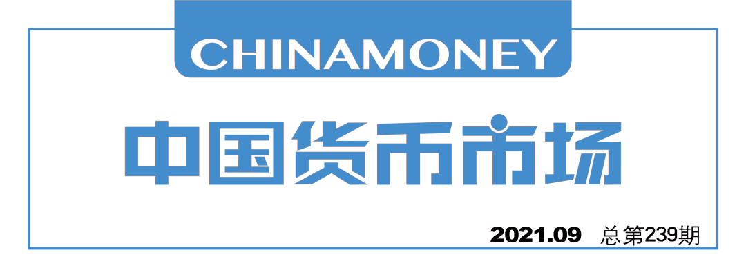 货币稳定债券是什么意思_什么是波动币_稳定币的全面分析：这些货币如何在波动市场中保护投资者的资金