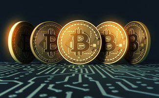 中国数字货币发展路径与政策导向：全球热潮下的机遇与挑战