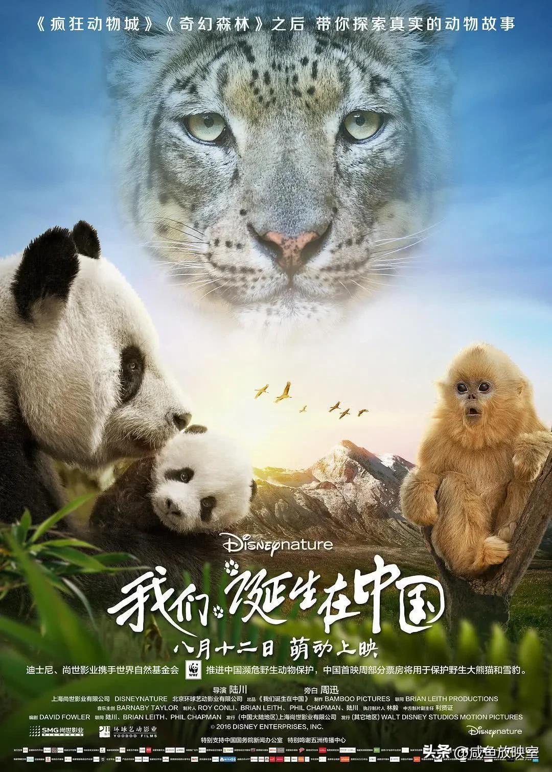 盛宴音乐_电影盛宴_2023年十大电影，带你领略视听盛宴