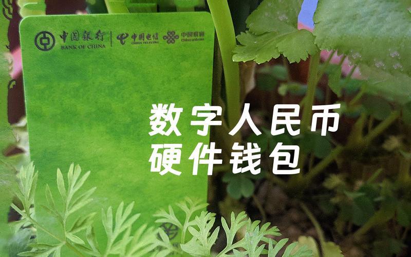 TP钱包：多功能的数字资产管理工具及安全使用