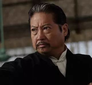 元彪武术水平_元彪武功_元彪在武术界的地位与影响