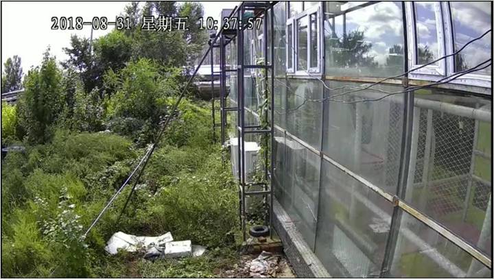 TP-Link摄像头设备的图像质量对比_摄像头匹配的软件有哪些_监控摄像头对比度