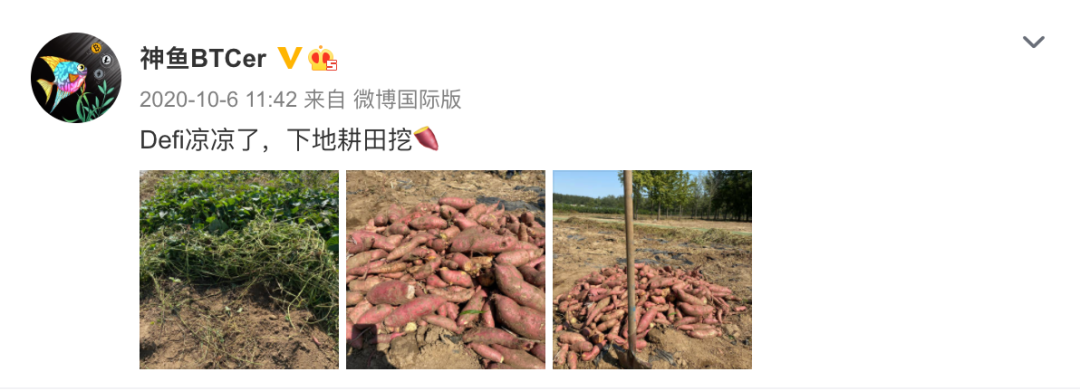 用户经验：以太坊钱包的优势与不足_以太坊钱包是去中心钱包吗_以太经典钱包和以太坊钱包