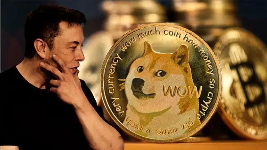 狗狗币最新动态回顾，背景、重要事件与地位一览