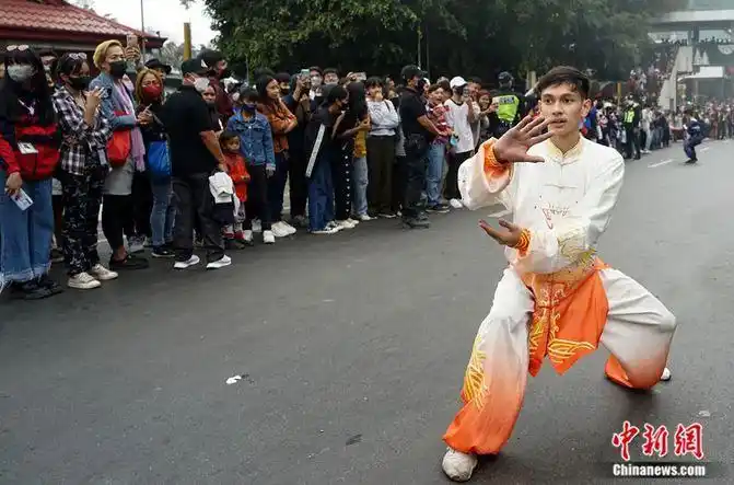 李小龙的著作与武术理论_武术著作李小龙理论解析_李小龙武术书籍