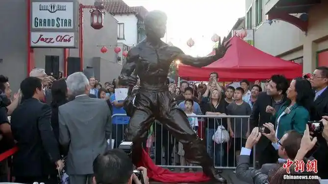 李小龙的著作与武术理论_武术著作李小龙理论解析_李小龙武术书籍