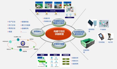 FLOKI币在区块链行业的角色与应用案例解析：DeFi领域的新宠