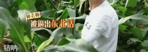 陈奕迅在综艺节目中的表现，展现多面才华_陈奕迅访谈节目_陈奕迅的综艺