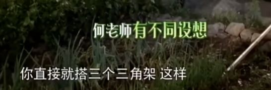 陈奕迅访谈节目_陈奕迅的综艺_陈奕迅在综艺节目中的表现，展现多面才华