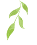modely马力_新款Model Y的动力系统性能评测_modely高性能