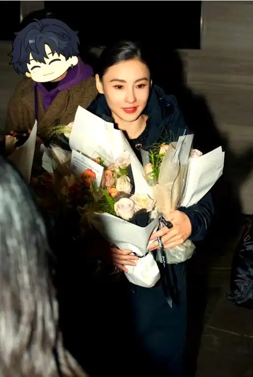 张柏芝电影歌曲_张柏芝的电影配乐与情感表达_张柏芝电影配音