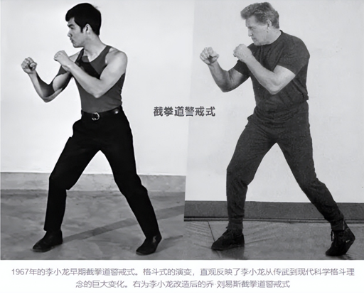 李小龙有文化吗_李小龙在流行文化中的地位_李小龙文化输出
