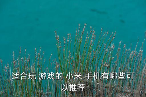 适合玩 游戏的 小米 手机有哪些可以推荐