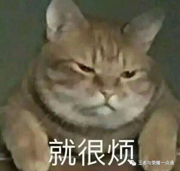韩信的关系网_王者荣耀韩信的人物关系_韩信与各路英雄的关系