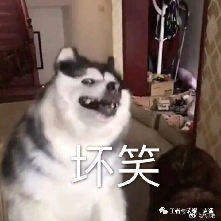 韩信的关系网_韩信与各路英雄的关系_王者荣耀韩信的人物关系