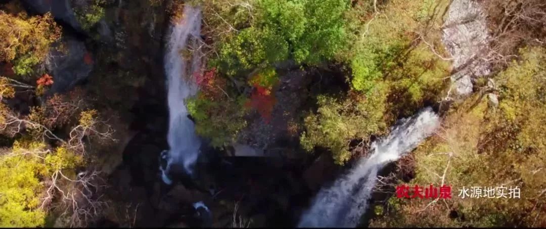 农夫山泉的定位分析_农夫山泉定位策略_农夫山泉的市场定位与钟睒睒的思考