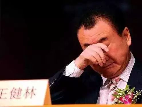 房地产王健林子简介_房地产大亨王健林_王健林如何塑造了中国房地产市场