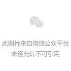 比特者币危机案例财富时刻分析_比特币悲剧_比特币如何在危机时刻保护投资者的财富：历史案例分析