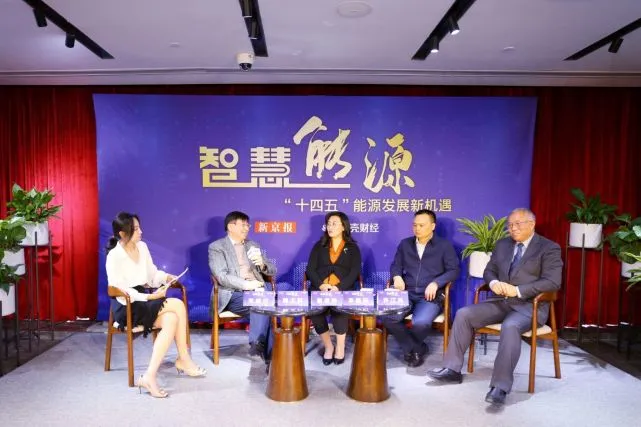 十四五能源革命新机遇：智慧能源时代的发展前景与专家解读