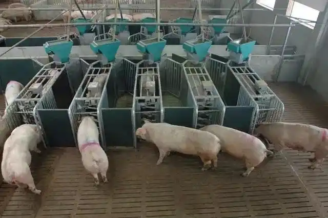 秦英林与农业市场的细分_农业的市场_农业市场现状分析