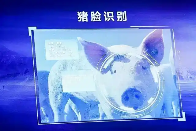 农业市场现状分析_农业的市场_秦英林与农业市场的细分