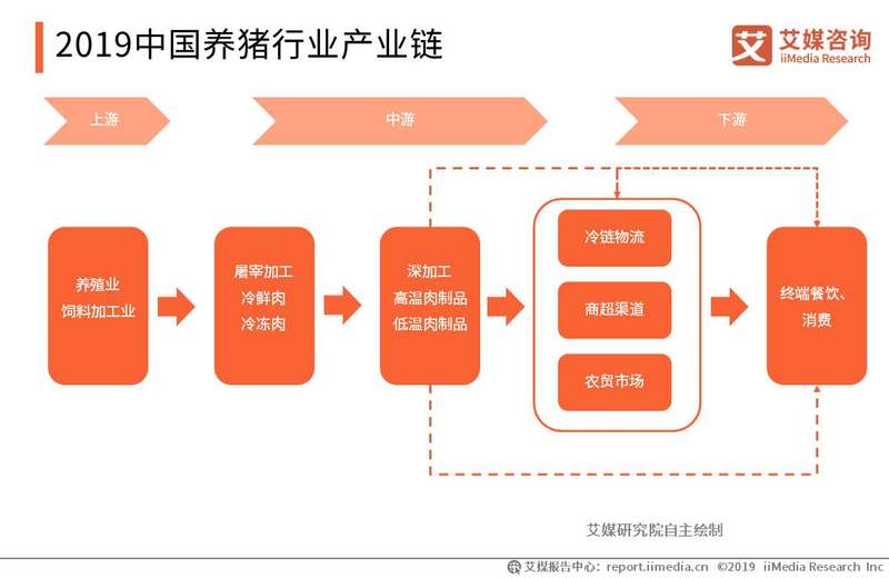 2019中国养猪行业产业链