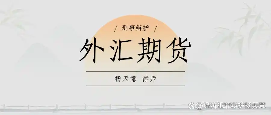 杨天意律师解析外汇兑换法律风险与合规建议：买卖外汇常见模式及案例分享
