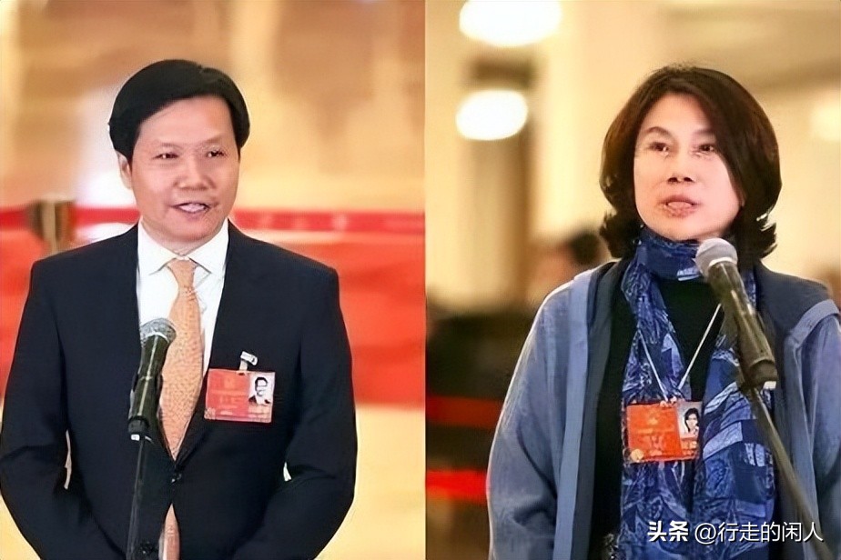 分析雷军的成功要素_雷军和社会变革的积极参与_雷军对社会的主要贡献