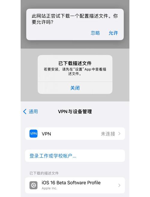 TP官网应用在安卓和苹果设备上的下载安装操作流程详解