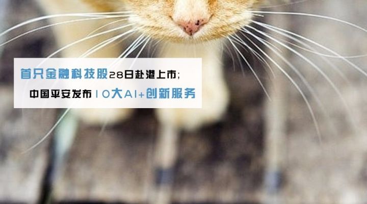 比特币实时分析及交易策略_如何在比特币ATM机上获得实时市场信息？_比特币的市场情况