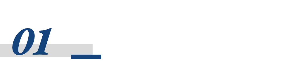 特朗普btc_特朗普比特币_比特币因特朗普当选前景达新高